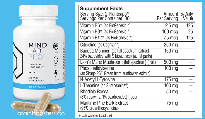 Mind lab pro ingredients and facts