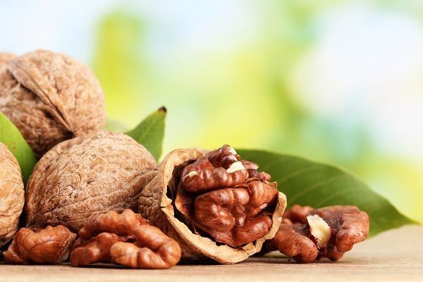 Health Benefits of Walnuts - The Brain Superfood
